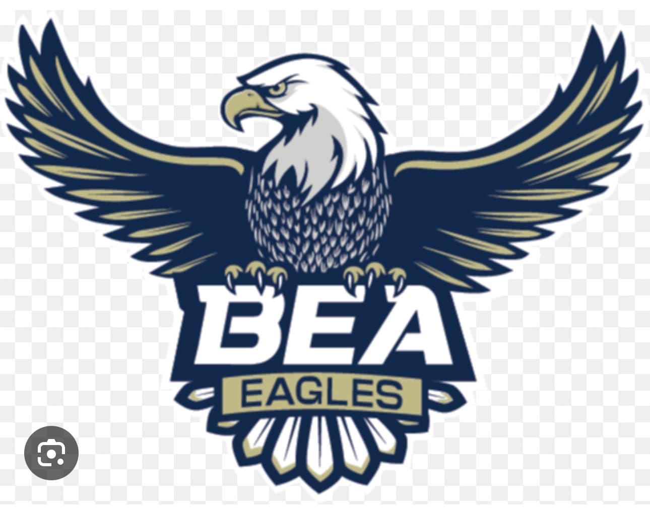 Bald Eagle High School gym